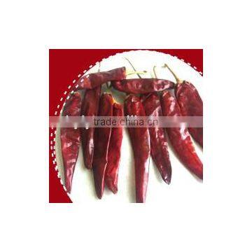 2014 Whole Jinta Chilli without stem