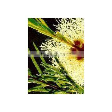 100%Pure Natural Tea Tree Essential Oil