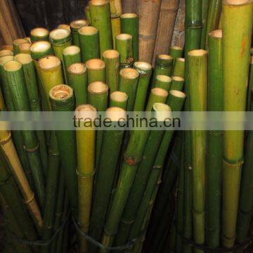 Vietnam Bamboo poles