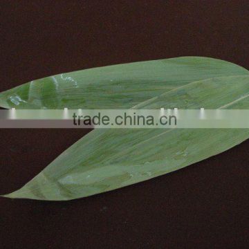 fresh bamboo leaves