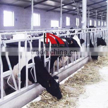cattle neck lock 3000*1100 mm animal neck lock