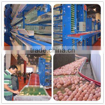 Chicken egg poultry farm equipment/automatic egg collecting machine/chicken layer cage