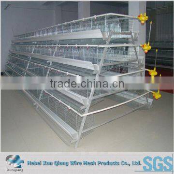 A type chicken farming automatic poultry chicken cage