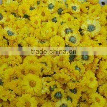 Flower Dryers / Flower Drying Machine photo-3