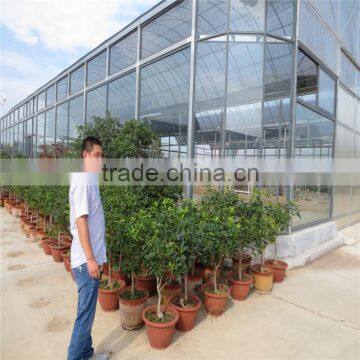 Green House for Agriculture photo-3