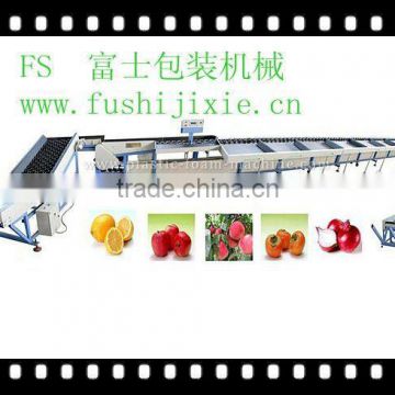 onion grading machine/sizing machine