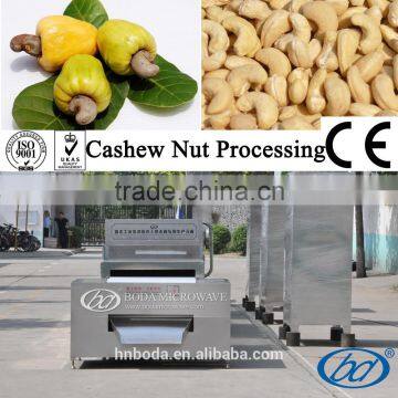 Grain Processing Equipment Type cashew nut processing