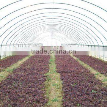 Single-Span Hot-Dip Galvanized Steel Pipe Frame 200mm PVC Film Covered Greenhouse photo-2
