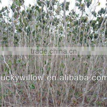 Factory Supply Wicker Deractive Wicker Gift photo-5