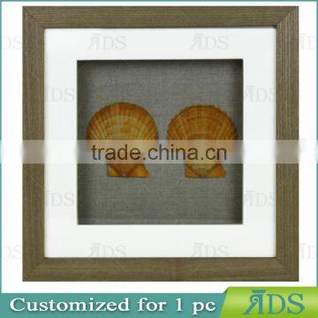 Modern Art Home Decoration Art Unique Seashell Shadow Boxes photo-3