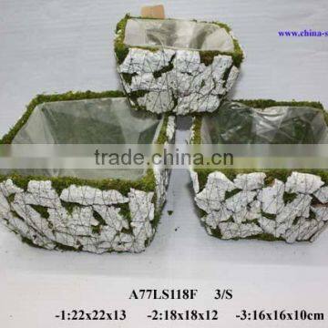 moss basket for florist