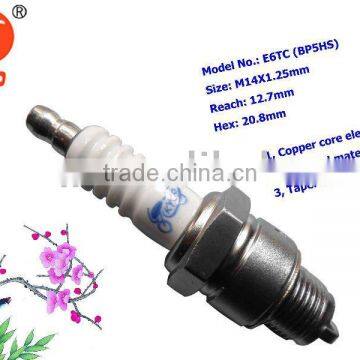 E6TC Spark Plug