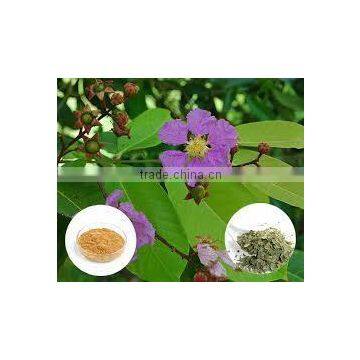 Banaba Extract photo-2