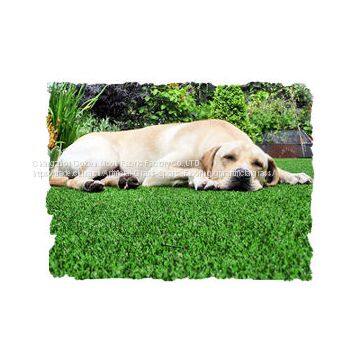 #306814 Pet Artificial Grass supplier