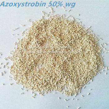 Supply Fungicide Azoxystrobin Price 50WDG Azoxystrobin for Agrochemicals to Control Pest photo-2