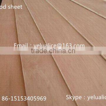 China plywood for packing and furniture / Plywoo Sheet board