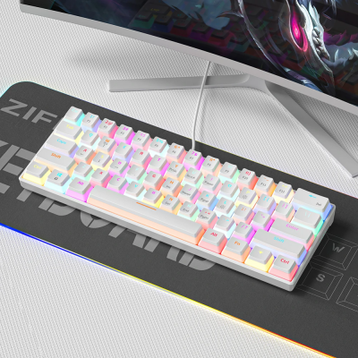 OEM 7 Bright Colors RGB Colorful Backlit 60 Keys Keyboards Ergonomics Wired Mechanical Gaming Keyboard