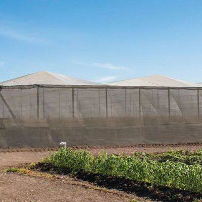 Factory Supply High Quality Net Protector Anti Virus