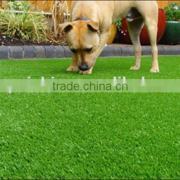 Natural synthetic grass for turf carpet grass