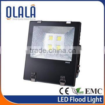 Warm color COB chip 35000hours lifetime CE Floodlights