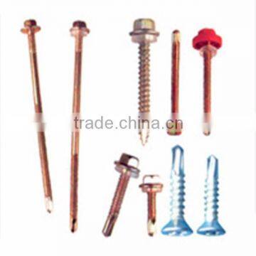 China Screw Manufacture Stainless Steel Deck Screw photo-4