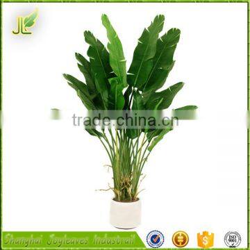 plastic high quality fake artificial traveller banana tree for indoor decoration