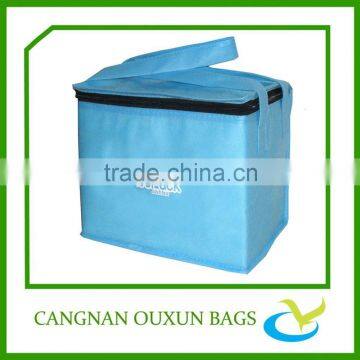 New design Cooler bag for frozen food