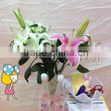 2014 Hot Sale Clear Plastic Crystal Vase