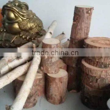 China Wholesale Birch Wood Log for Showcase Decoration photo-4