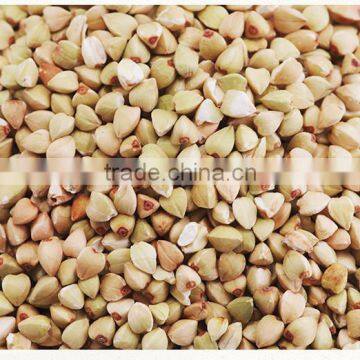 Chinese Non Gmo New Crop Roasted Buckwheat Kernel for Georgia Wholesale photo-5