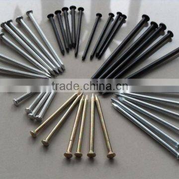 Chinese factory Concrete nails stainless steel phophate or galvanized