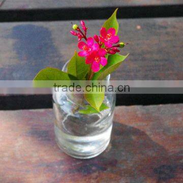 Colorful Glass Bottle Vase Wholsale photo-4