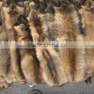 tanned raccoon fur skin