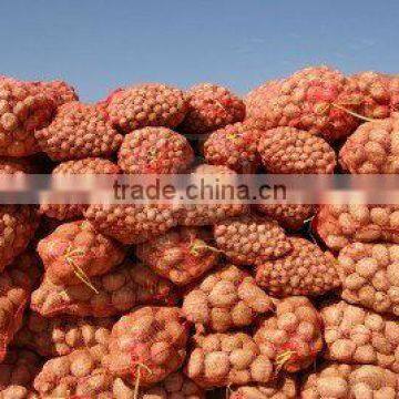 Potato in Bulk quantity