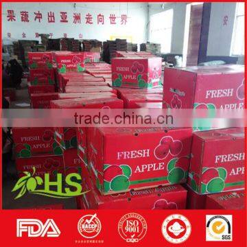 Fresh Fuji Apple Fruit for Sale From China Wholesale Distributors photo-5
