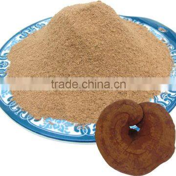 Ganoderma lucidum grinded fine powder