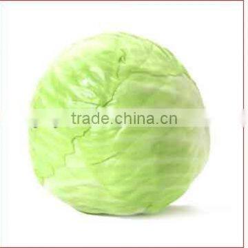 Cabbage Powder