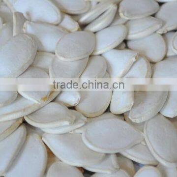 Chinese Snow White Pumpkin Seeds ( Squash Seeds) photo-2