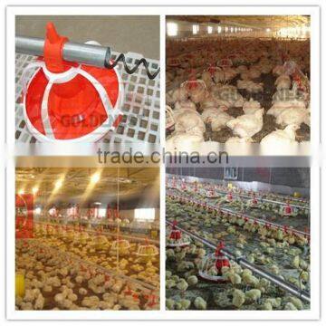 Automatic Chicken Farming Feeding Equipment| System