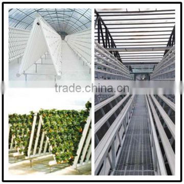 Good quality commercial hydroponics greenhouses systems