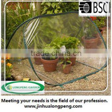 Triangle Small Pop Up Agricultural Greenhouse For Vegetable