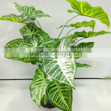 SJ13001106 Artificial Water Arum Plant Sale photo-2