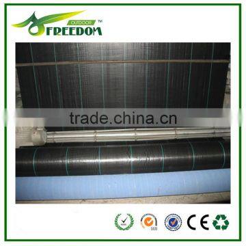 High-quality Plastic Ground Cover for Agriculture photo-3