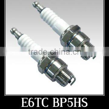 Plug Spark, Spark Plug