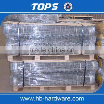 Galvanized or PVC Coated Chain Mesh Fence/decorative Chain Link Fence photo-4