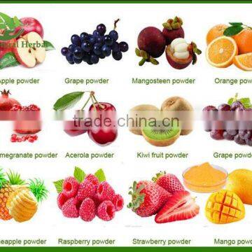 Fruit Juice in Sachet photo-2