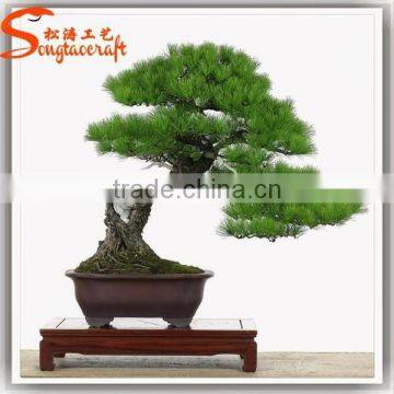 2015 Guangzhou Professional Supplier Make Artificial Pine Bonsai Tree for Sale photo-5