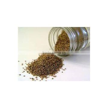Ajowan Oil photo-4