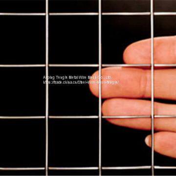 SUS304/316 Welded Wire Mesh