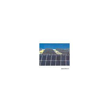 Sell Monocrystalline Silicon Solar Module